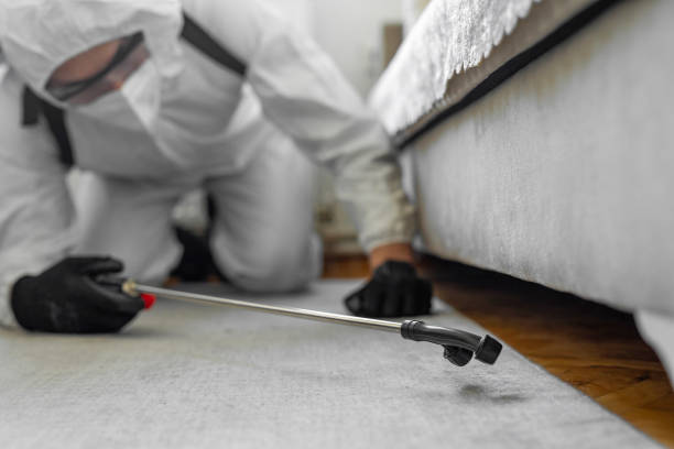 Professional Bed Bug Control technician working in Hermiston, OR